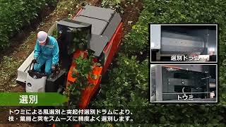 Kubota Riding Type Edamame Harvester EDC1100 for Green Soybeans