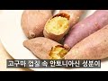 단감을 이렇게 먹으면 장속이 꽉 막히고 온몸에 염증이 퍼집니다. 단감을 가장 건강하게 먹는 방법과 단감의 효능