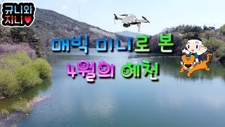 [드론영상] 매빅 미니로 본 4월의 예천 - 효자면편 -