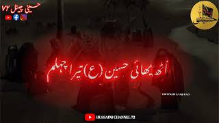 20 Safar Status | Chelum Imam Hussain Status | Mazloom Hussain Ki Hamsheera Status @SyedNadeemSarwar