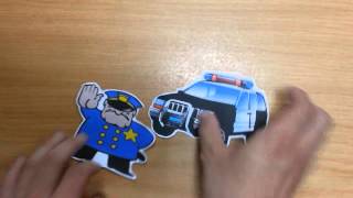 MIS Video Assignment - Transaction Processing Systems