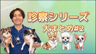 診察シリーズ＃犬まとめ２