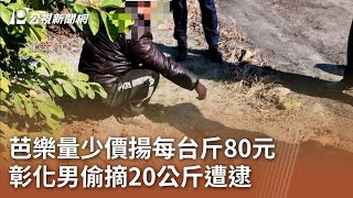 芭樂量少價揚每台斤80元 彰化男偷摘20公斤遭逮｜20250228 公視中晝新聞