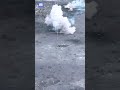 russian assault fails after ukraine destroy mt lb column with accurate anti tank guided missiles