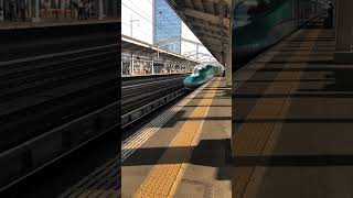 Japan Bullet Train /Tohoku Shinkansen HAYABUSA #shorts #japanofw #myvlog #japan