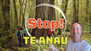 MAKE THE MOST - Things to Do in Te Anau New Zealand