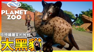 我還以為是瓦甘達的守護神🐾【動物園之星 Planet Zoo】貓狗一家親💕  #29