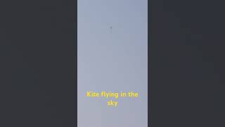 Kite flying in the sky#ఆకాశంలో ఎగురుతున్న గాలిపటం. #youtubeshorts