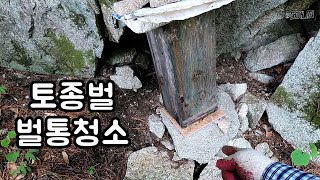 토종꿀 엄니랑 토종벌 벌통청소 하러 산에왔어요 //토종벌꿀//귀촌생활