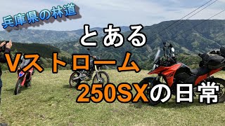 Ｖストローム250SXの純正タイヤで走るのはこのぐらいが限界！？　兵庫県にある林道に行ってきました！　ツーリング　モトブログ