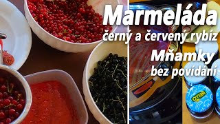 Nejlepší domácí marmeláda z černého a červeného rybízu RECEPT