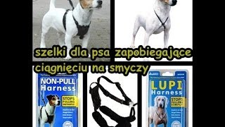 Szelki dla psa zapobiegające ciągnięciu na smyczy