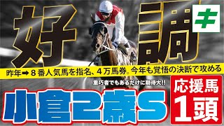 小倉２歳ステークス 2022 【予想】傷んだ馬場も追い風に！瞬発力自慢の「★あの穴馬」に期待！