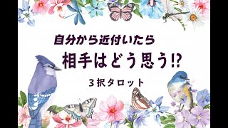 【タロット占い】あなたから近付いたら、お相手はどんな反応するの？