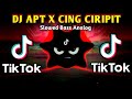 DJ APT X CING CIRIPIT VERSI TIKTOK VIRAL (SLOWED BASS ANALOG) 2024 REMIX