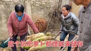 陪父母埋完萝卜摘柿子，陪着亲人干活拉家常，尽情享受美好时光