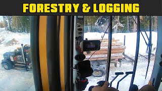 Tigercat 875 Loading Short Log Trucks Inside Cab View - Real Life Forestry \u0026 Logging - FDR Logging