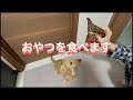 発表します！！