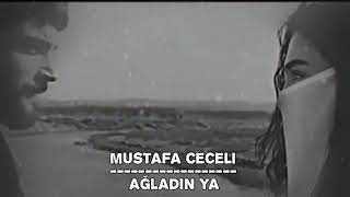 Mustafa ceceli - Ağladin ya || #Reymir || Subtitle badini