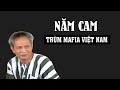 Tóm tắt nhanh Đại án Năm Cam lớn nhất lịch sử Việt Nam