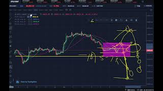 20220306金淼加密货币行业最新消息解读及分析，BTC比特币，ETH（以太坊），DOT（波卡），UNI尤尼，FIL菲尔，SHIB柴犬，MATIC马蹄，RING（达尔文），ADA（卡尔达诺）波段分析