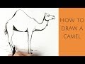 How to draw a camel - easy step by step