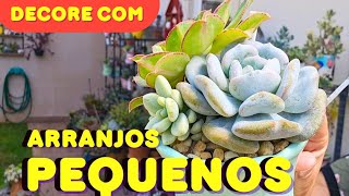 DECORE O JARDIM: PEQUENOS ARRANJOS DE SUCULENTAS