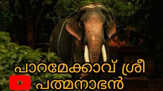 പാറമേക്കാവ് ശ്രീ പത്മനാഭൻ |Paramekavu sree padmanaphan |Aanapranth