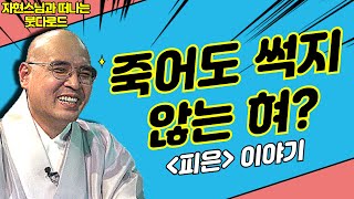 죽어도 썩지 않는 혀? [자현스님의 붓다로드 281회] #자현스님 #불교역사 #삼국유사 #피은 #붓다로드