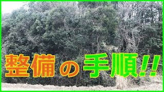 【里山整備】山を安全に整備する手順はこれ!!ツルの処理が超重要!!チェーンソーでの伐倒前にツタ類を処理することで安全作業向上へ!!#稲屋の田舎チャンネル