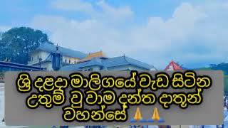 සතර දළදා වහන්සේලා අතුරින් වැඩිම ප්‍රාතිහාර්ය  පෑ උතුම් වූ වාම යටි දාලදාව | Sadaham Lanka TV