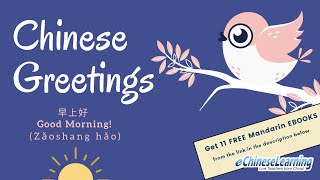 Beginning Mandarin Chinese Lesson: "Chinese Greetings" with eChineseLearning