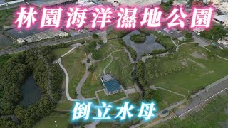 124. 林園海洋濕地公園位於市境之南樹北方約3公里處、與市境之南樹、四方浪、月牙灣景點連成一線，這裡有倒立水母 適合親子教育的地方，就讓我們隨著空拍機觀賞這美麗的風景   #ws1030tw