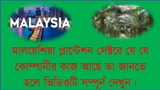 মালয়েশিয়া প্লানটেশন সেক্টরে সর্বশেষ আপডেট|Latest updates on the Malaysia Plantation sector