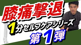 膝の痛みをその場で消すための1分セルフケアシリーズ：第１弾 後脛骨筋【兵庫県 伊丹市 膝痛 理学療法士】