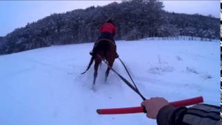 A takto sa bavime my :) Skijoring