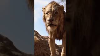 Lion father diad 🥺😔😢#movie #clips #lion #father #tranding  #whatsappstatus