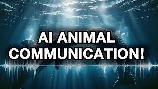 Decoding Animal Language with AI! [JOBE.AI]