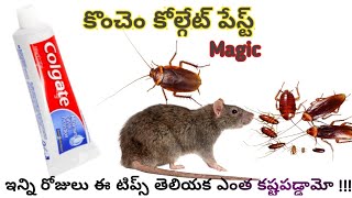 👉 ఈ టిప్స్ తెలిస్తే ఇల్లు ఎప్పుడూ క్లీన్ గా ఉంటుంది 🤷Kitchen Tips In Telugu