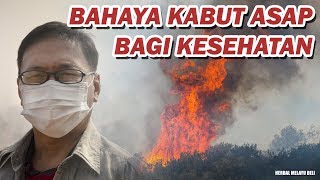 Bahaya Akibat Menghirup Asap Kebakaran Hutan - Bahaya Kabut Asap Bagi Kesehatan Tubuh