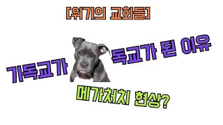 [위기의 교회들] 한국 교회의 위기, 메가처치가 문제라구요?