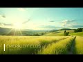 Andreas Adler - Emerald Fields