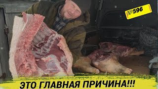 Вот почему мы сами не реализуем свою продукцию. Омск Москаленки.