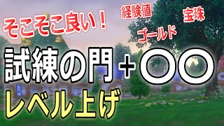 【ドラクエ10】試練の門＋○○でレベル上げ　解説