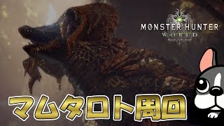 【MHW実況/PS4】火弓と火太刀がほしい・・・マムタロト周回＆バウンティやる【モンハンワールド】