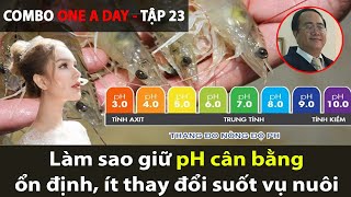 Cách giữ độ pH ao nuôi tôm ổn định, cân bằng suốt vụ nuôi [TẬP 23]