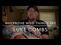 Where The Wild Things Are - Luke Combs (guitar lesson)