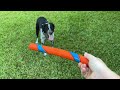 honest review chuckit ultra fetch stick