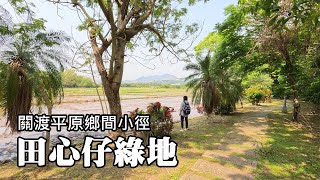 The beauty of Guandu Plain near MRT Beitou Station ~ Tianxinzi Greenbelt, Daye Greenbelt Trail