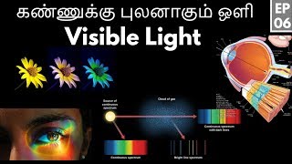 கண்ணுக்கு புலனாகும் ஒளி Visible light | மின்காந்த நிறமாலை  Electromagnetic Spectrum | EP 06